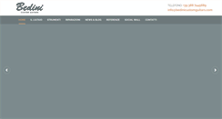 Desktop Screenshot of bedinicustomguitars.com